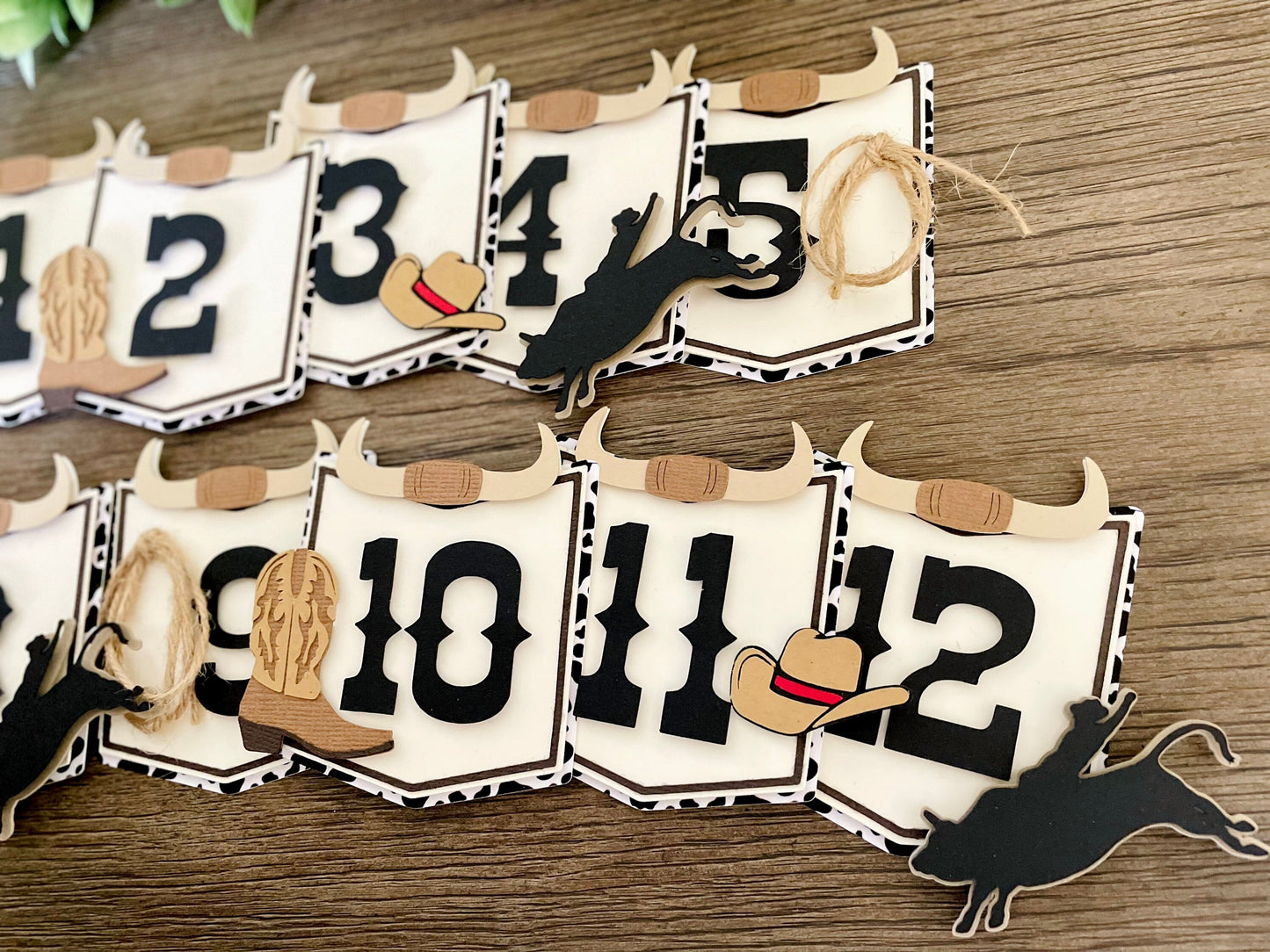 First Rodeo Photo Banner