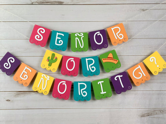 Taco Bout A Baby Gender Reveal Banner