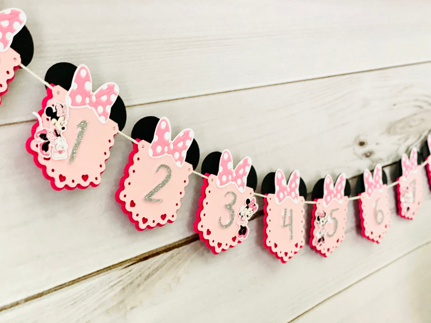 Minnie Photo Banner