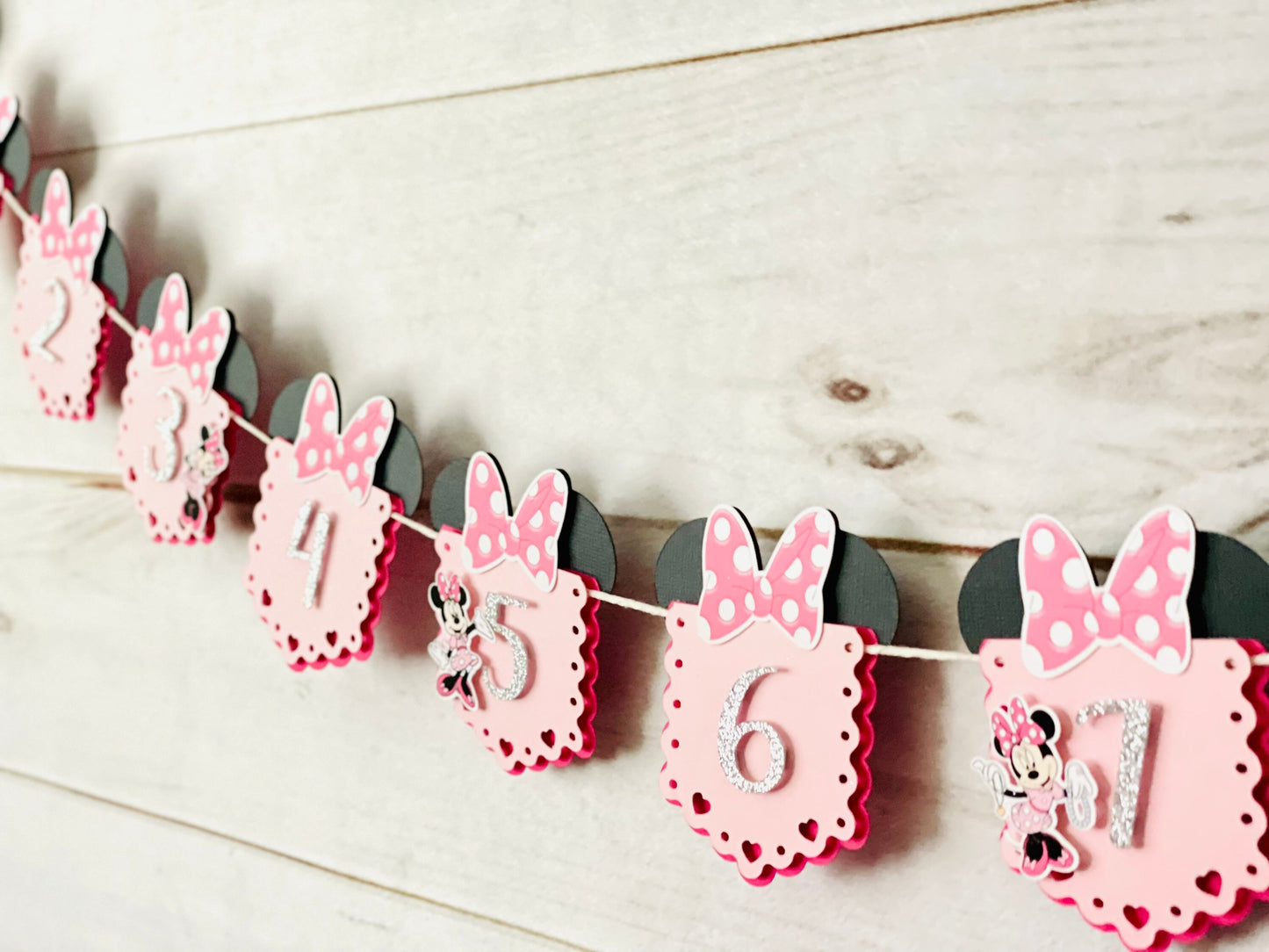Minnie Photo Banner