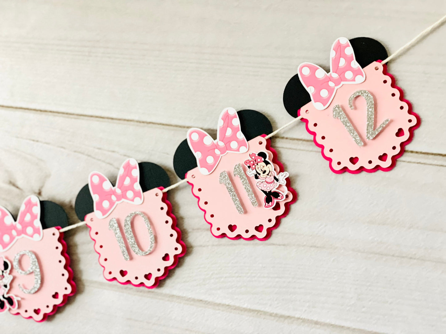 Minnie Photo Banner