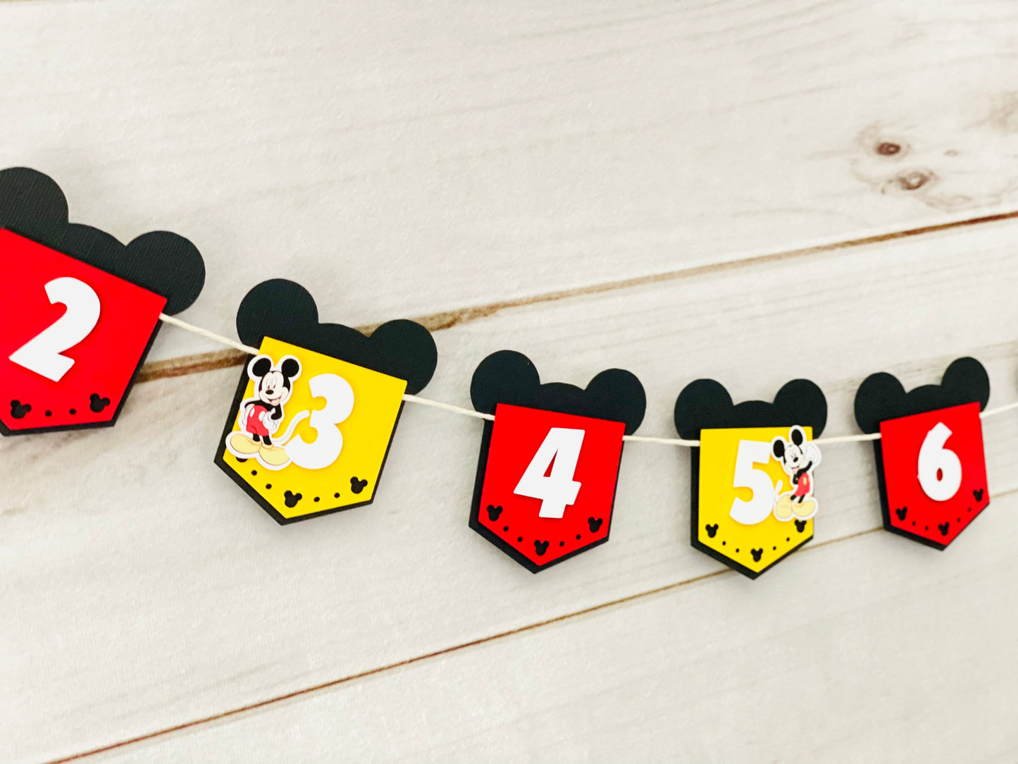 Mickey Photo Banner