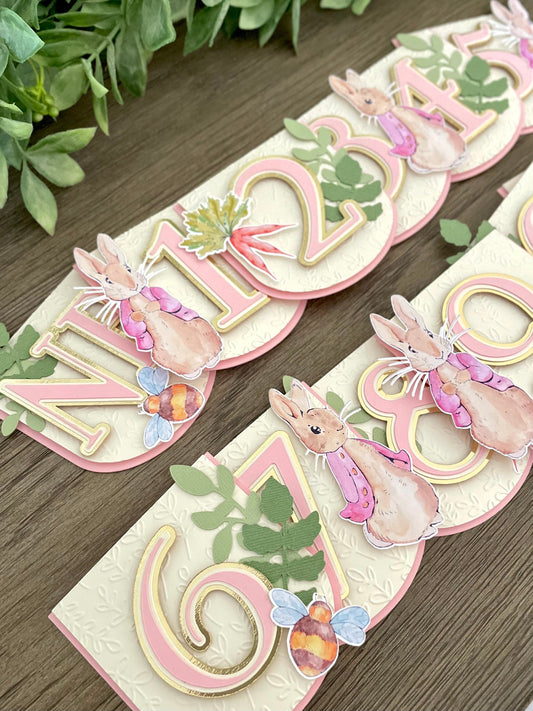 Peter Rabbit Photo Banner