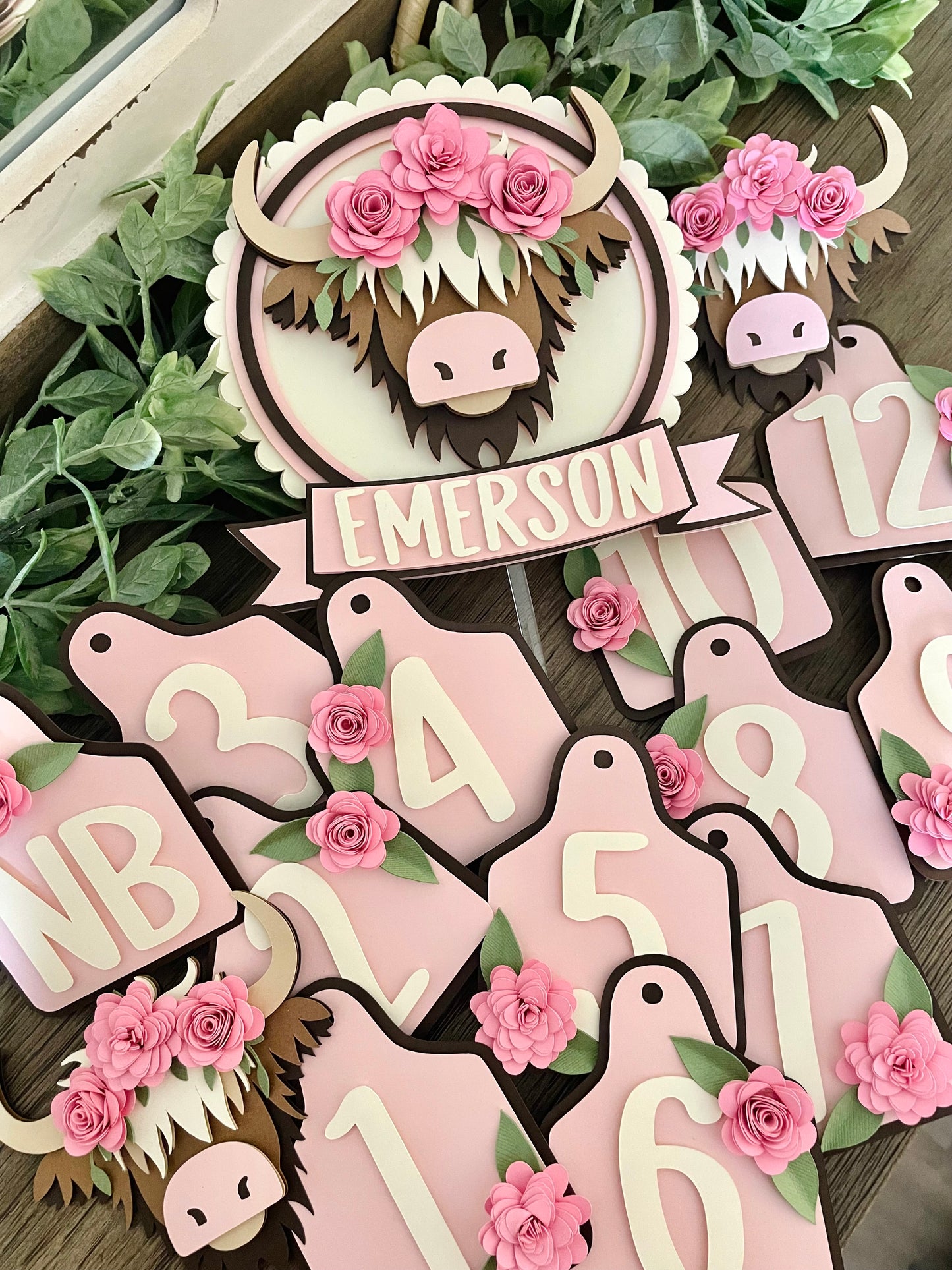 Highland Cow Monthly Photo Banner