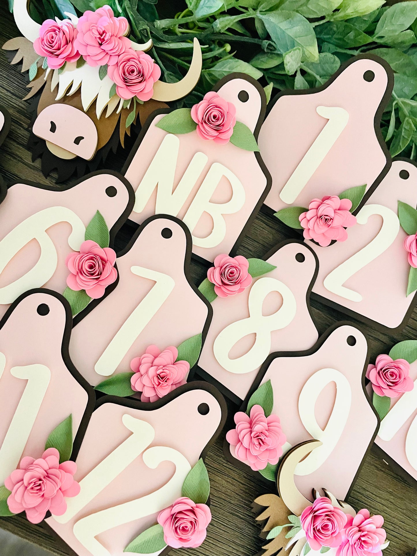 Highland Cow Cupcake Toppers