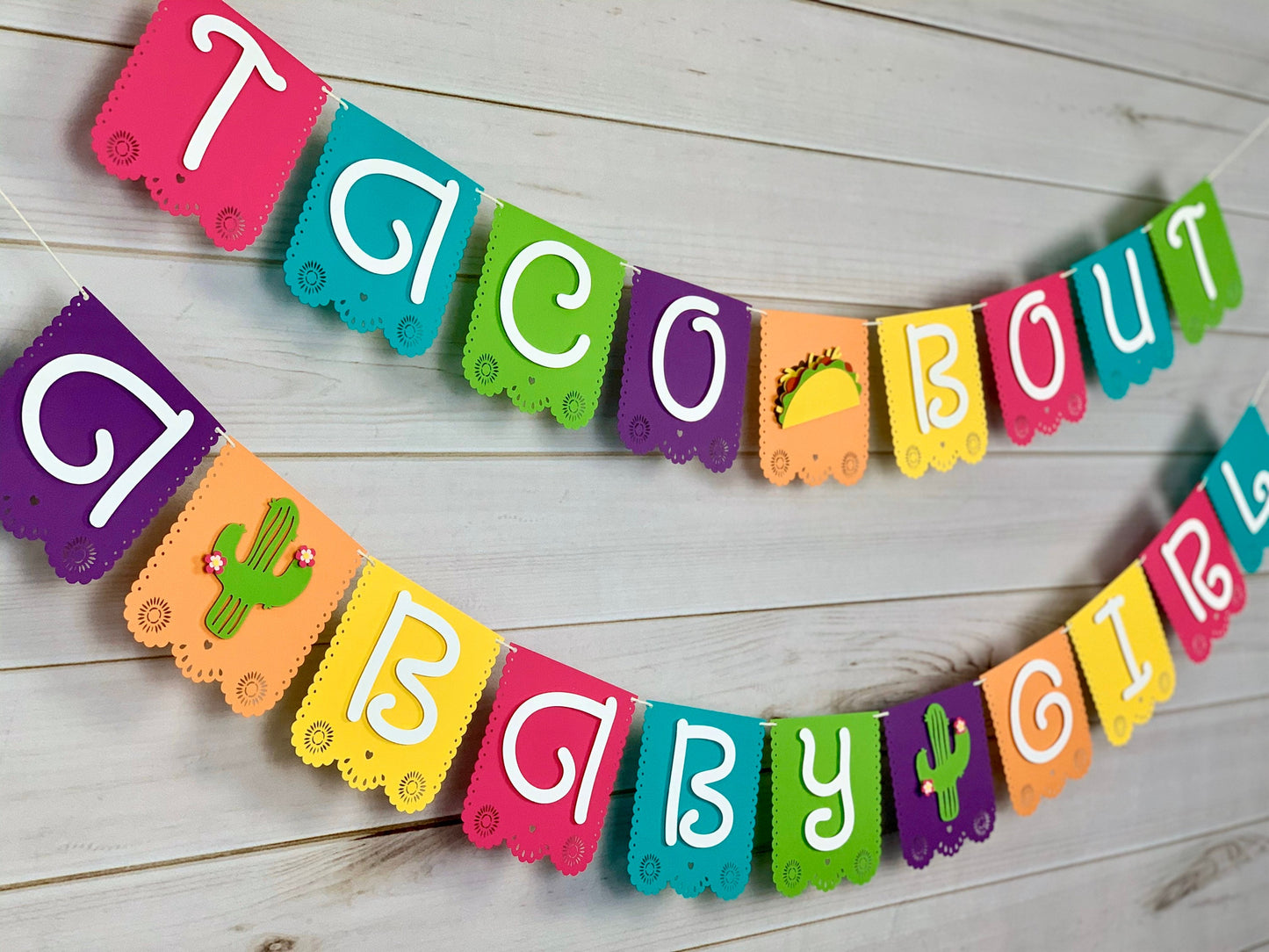 Taco Bout A Baby Gender Reveal Banner