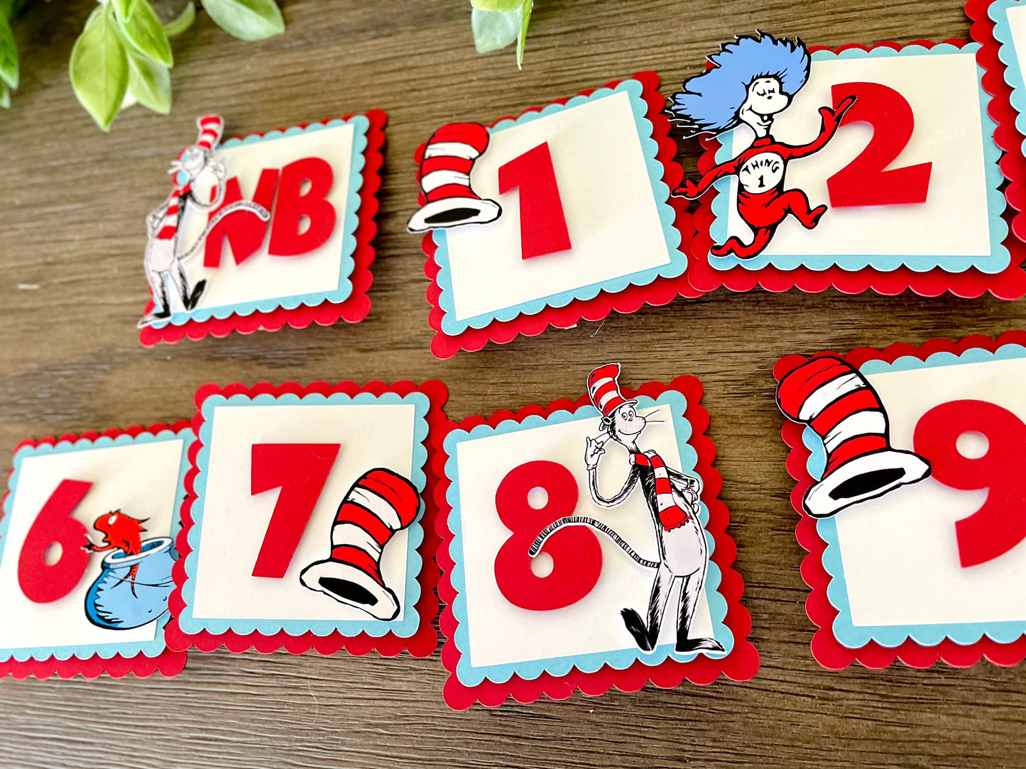 Cat in the Hat Photo Banner