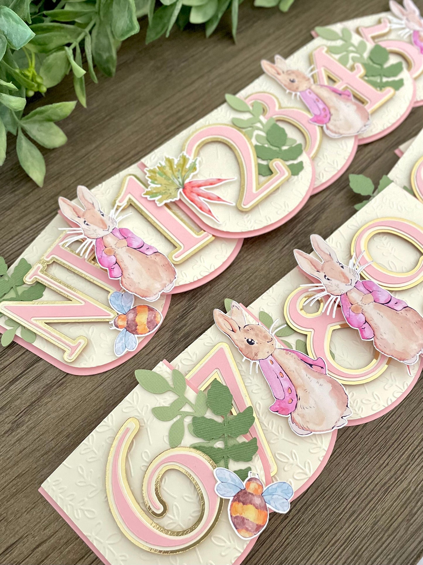 Peter Rabbit Cake Topper