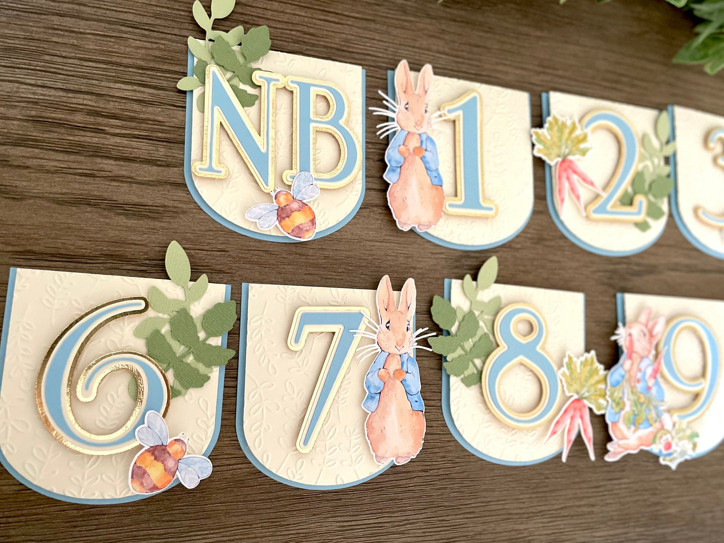 Peter Rabbit Photo Banner