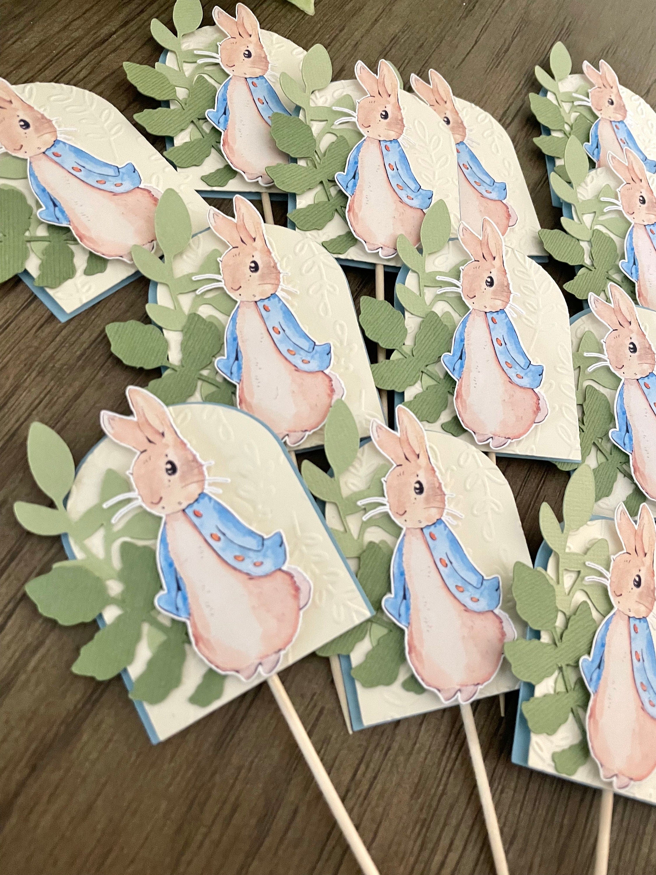 Peter Rabbit – Cardstock Party Shop
