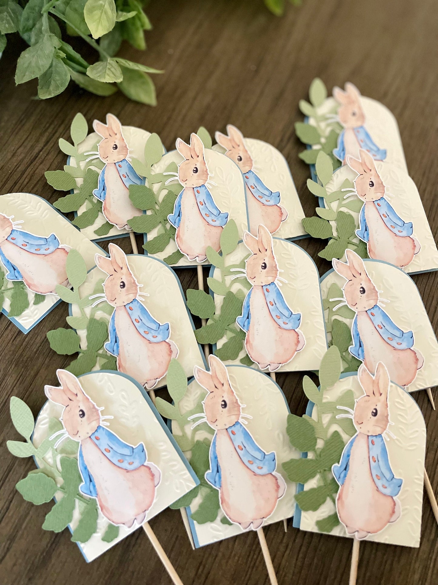 Peter Rabbit Cupcake Toppers