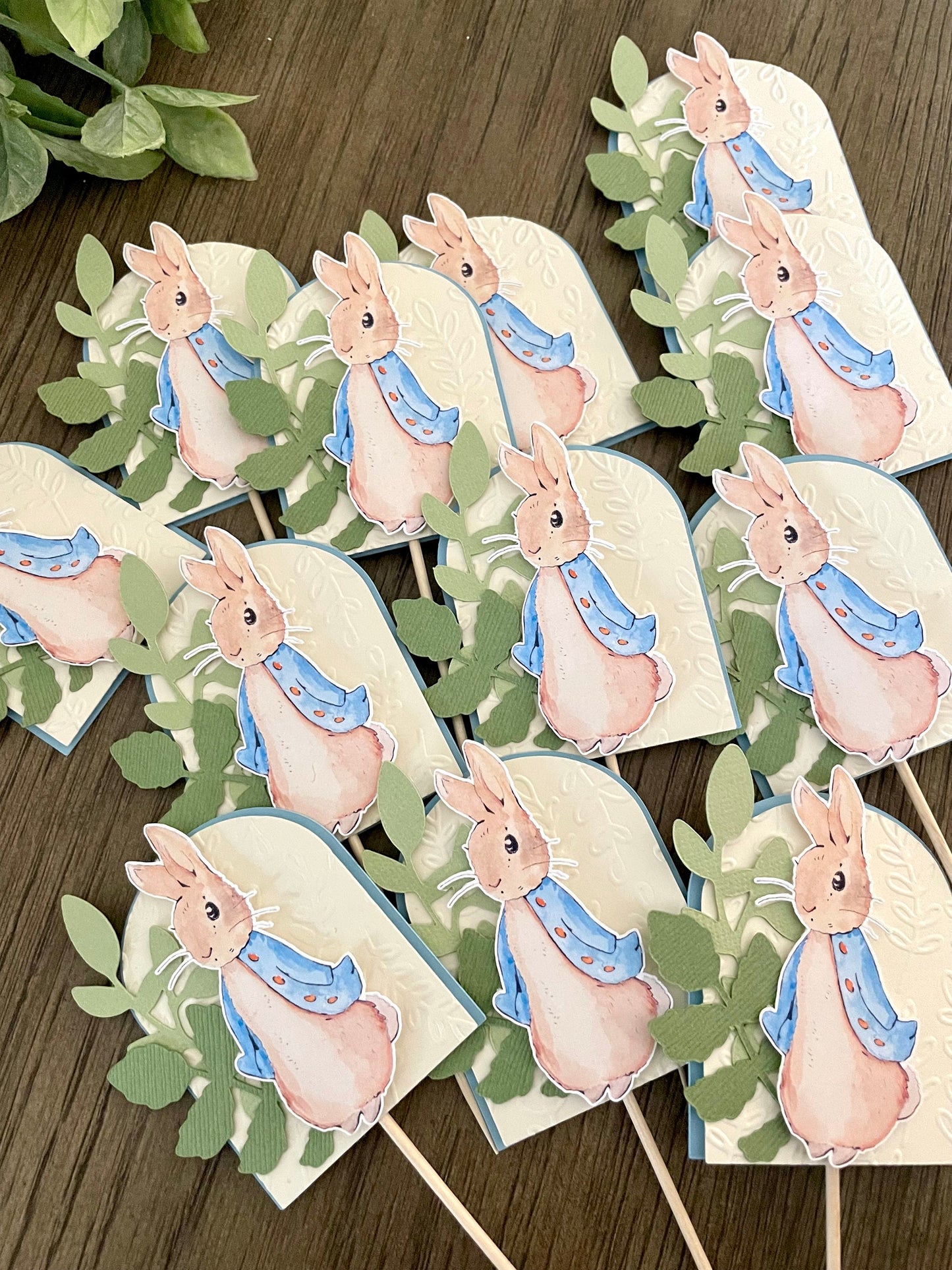 Peter Rabbit Cupcake Toppers