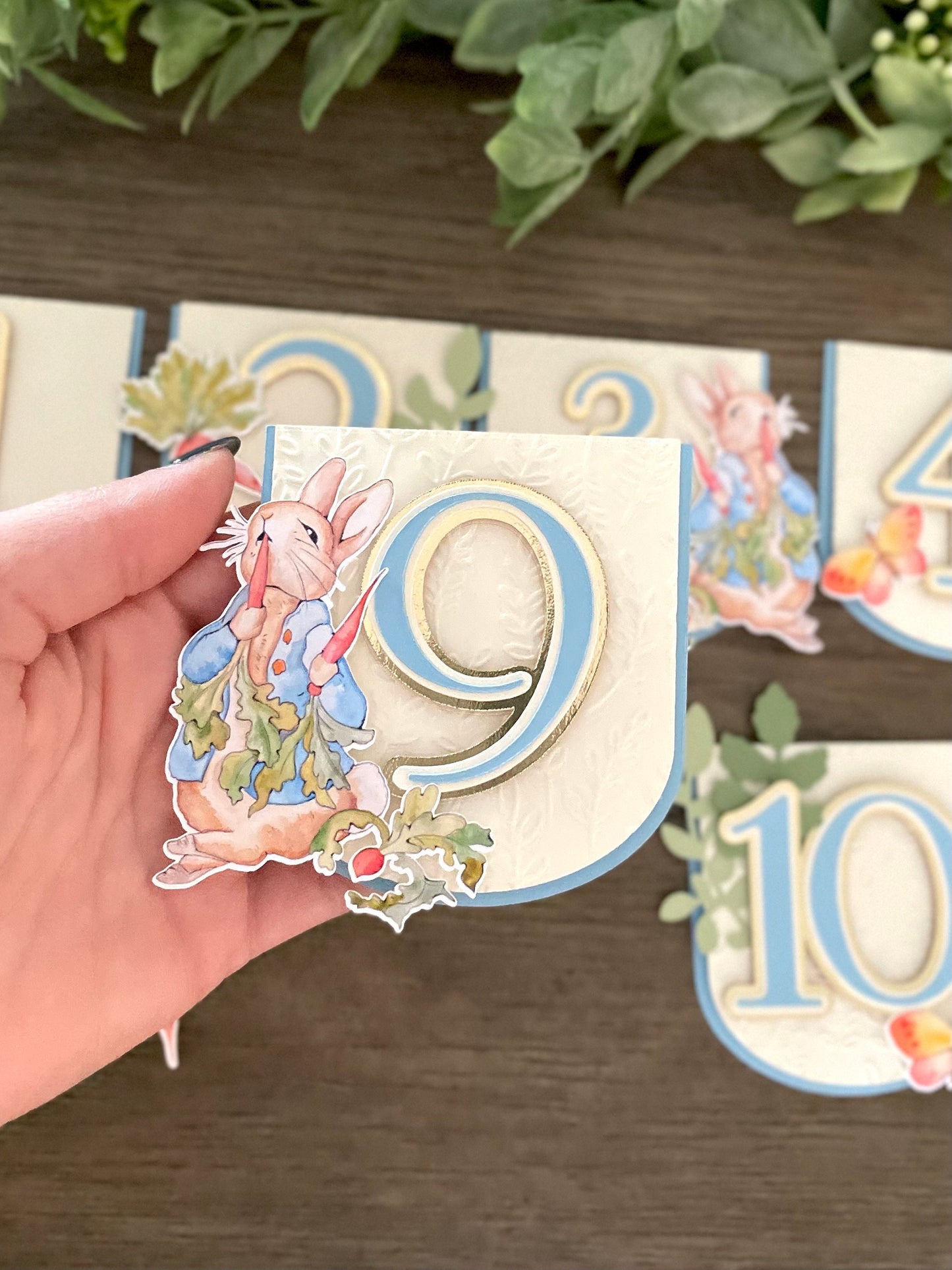 Peter Rabbit Cupcake Toppers