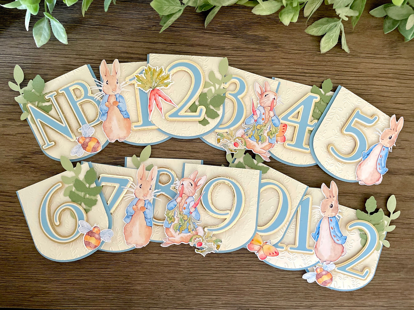 Peter Rabbit Cupcake Toppers