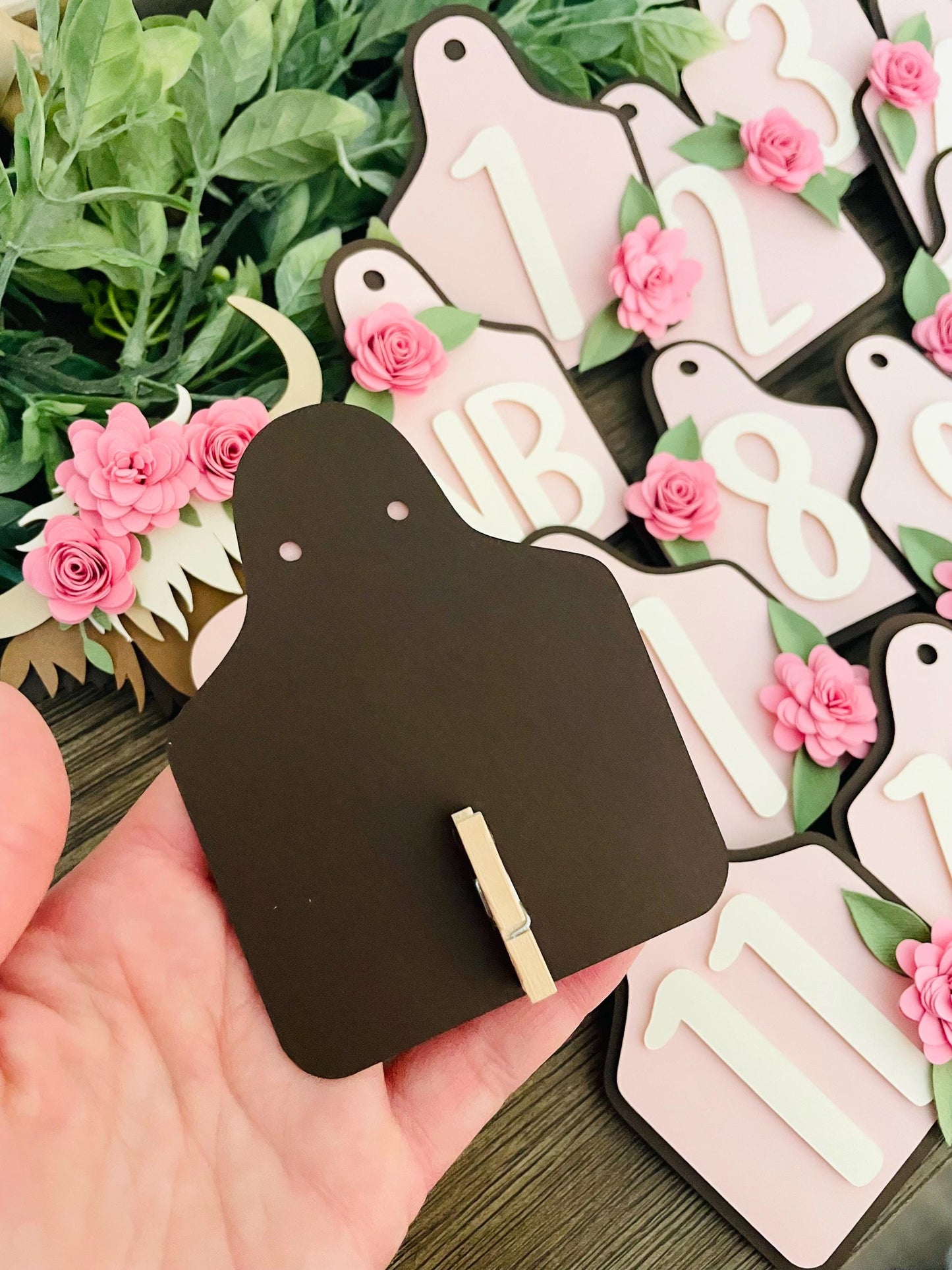 Highland Cow Monthly Photo Banner