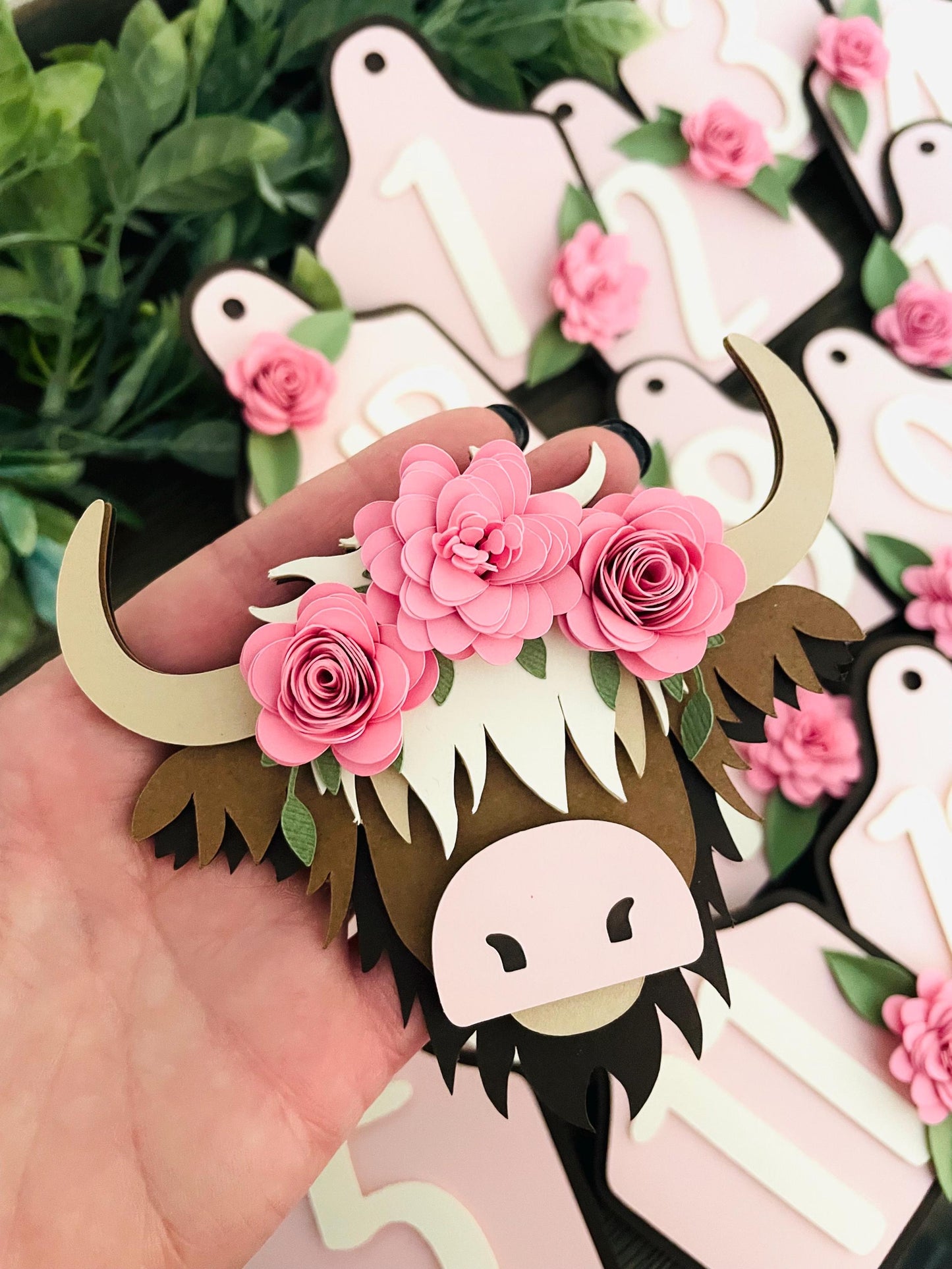 Highland Cow Monthly Photo Banner