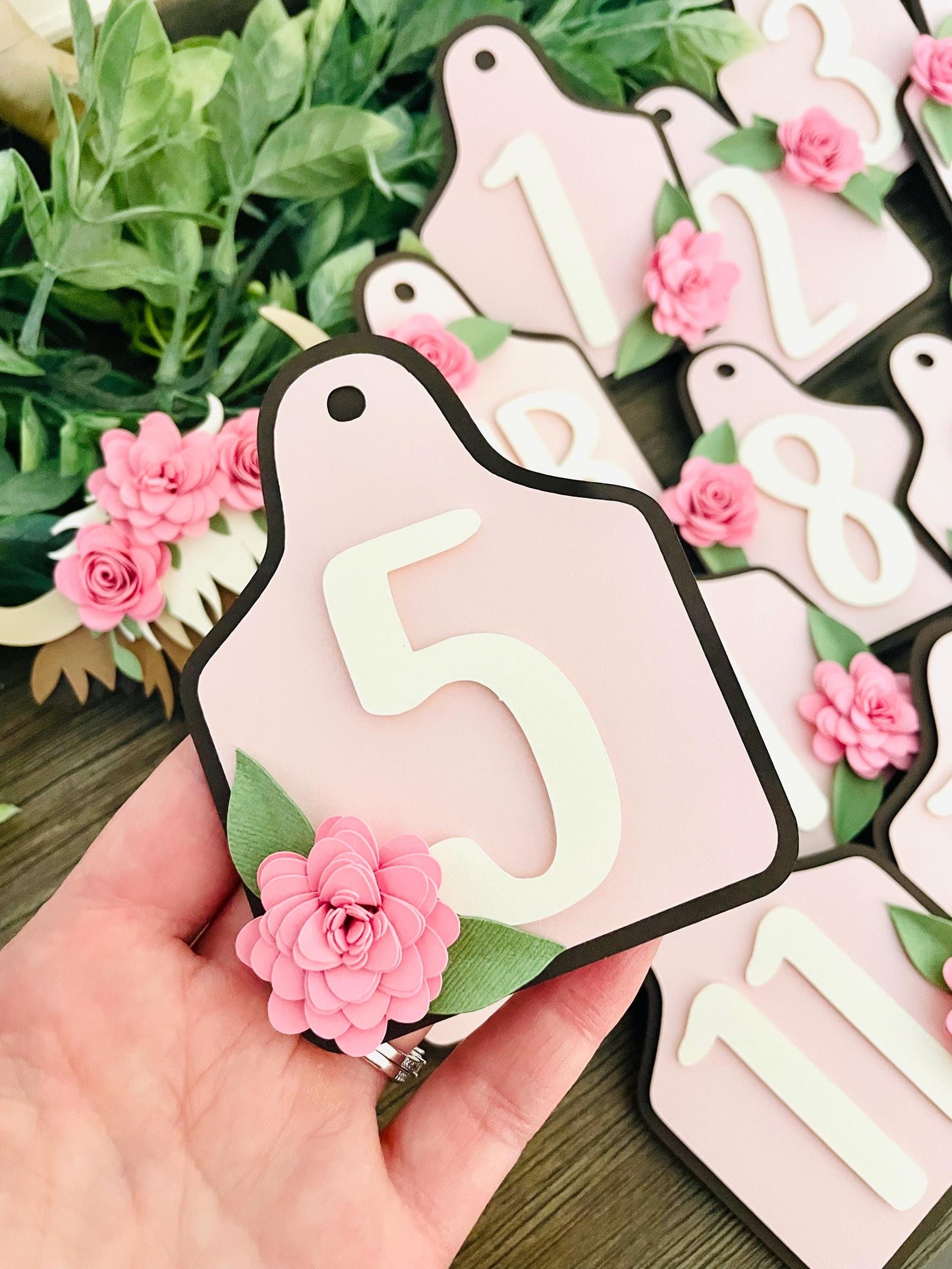 Highland Cow Monthly Photo Banner