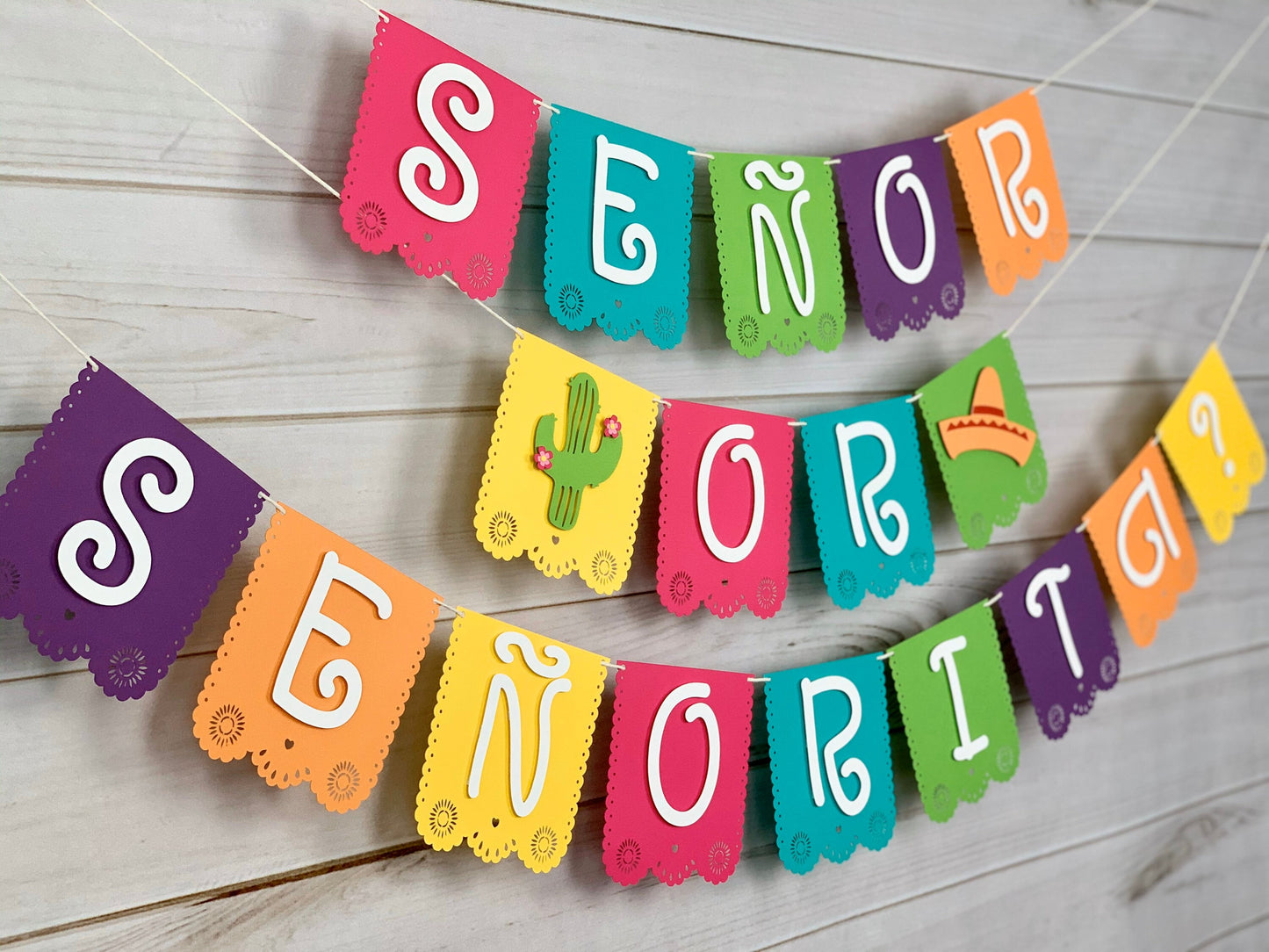 Taco Bout A Baby Gender Reveal Banner