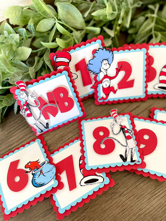 Cat in the Hat Photo Banner