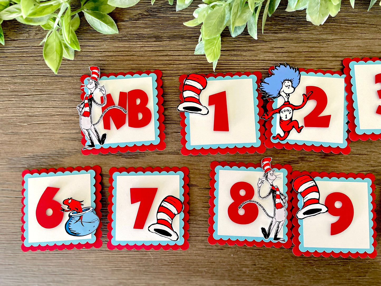 Cat in the Hat Photo Banner