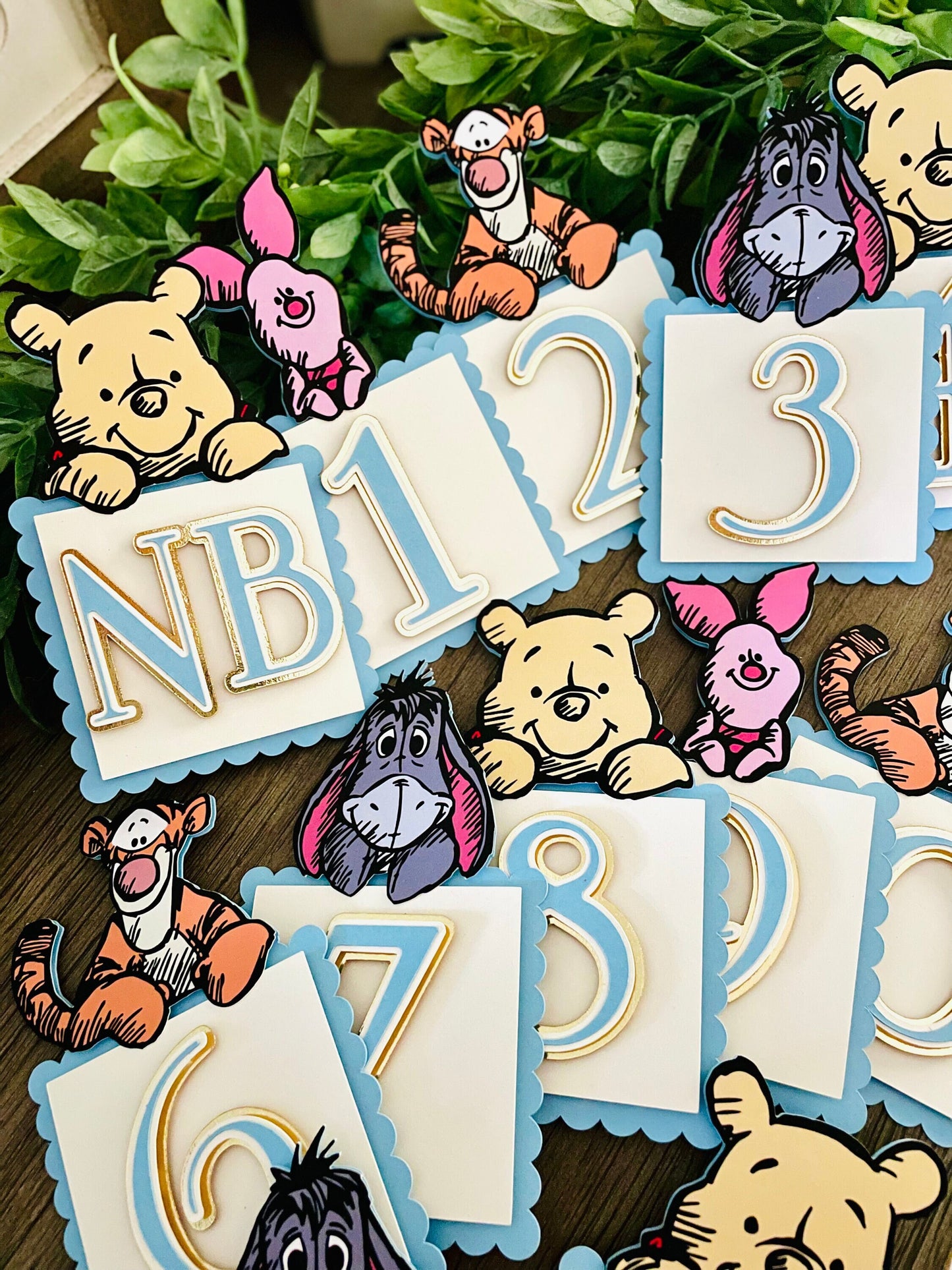 Winnie the Pooh Photo Banner