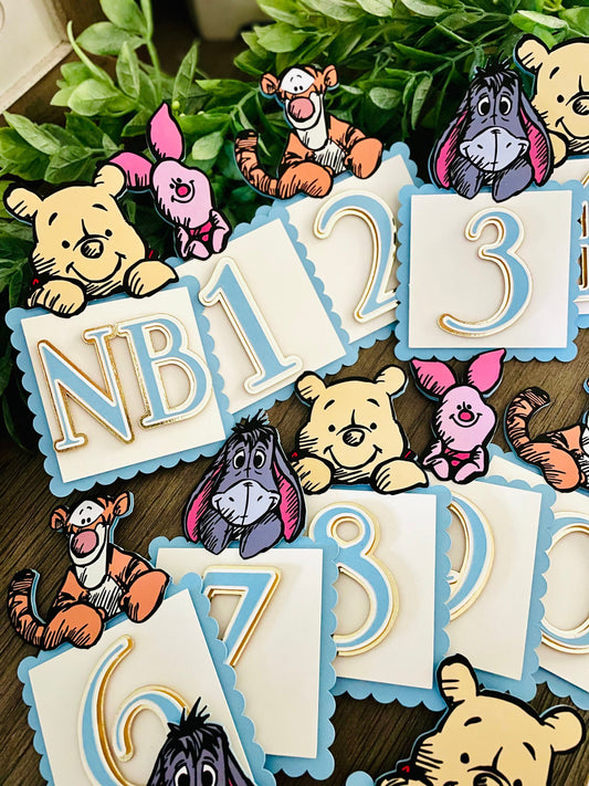 Winnie the Pooh Photo Banner